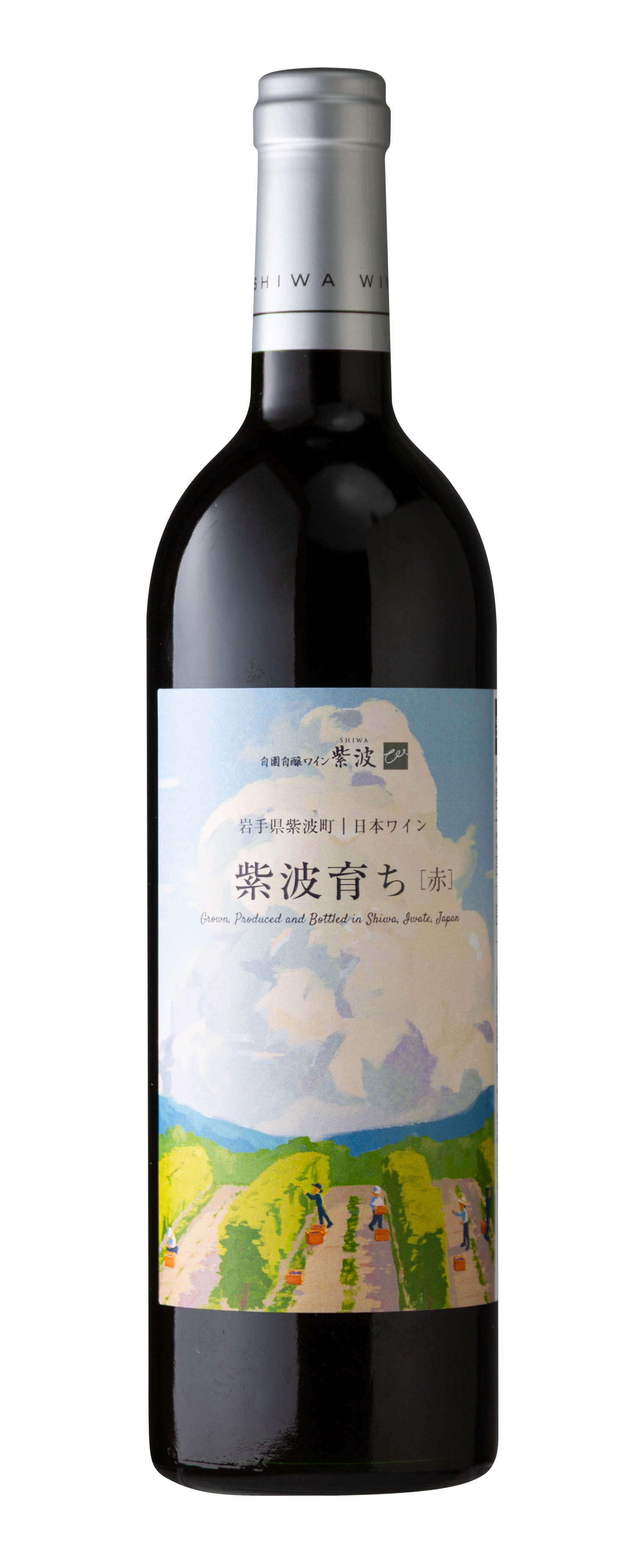 紫波育ち 赤